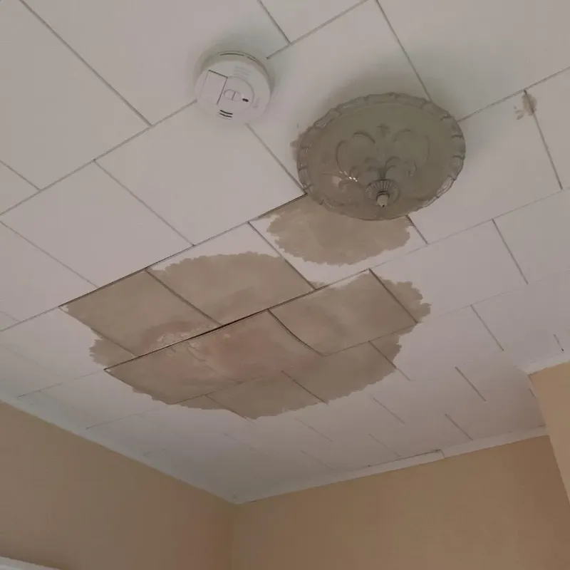 Ceiling Water Damage Repair in Wrentham, MA