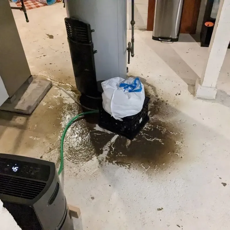 Sewage Backup Cleanup Service in Wrentham, MA